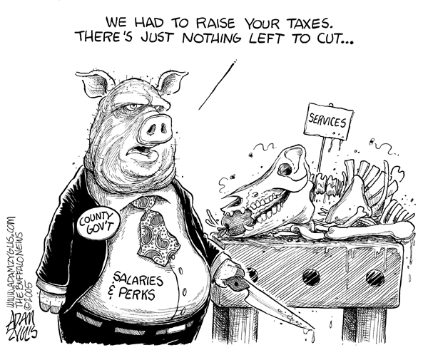 erie county, budget cuts, taxes, pig