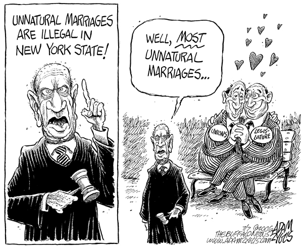 ny state, supreme court, gay marraige, unions, legislature