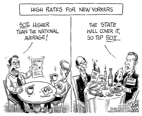 new york; power authority; high rates
