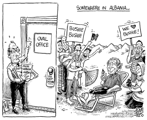 albania; bush; polls; subpoenas; iraq