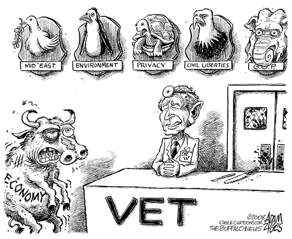 bush, vet, animal hospital, doctor, veterinarian, economy, mid east, iraq, privacy, environment, gop, civil liberties