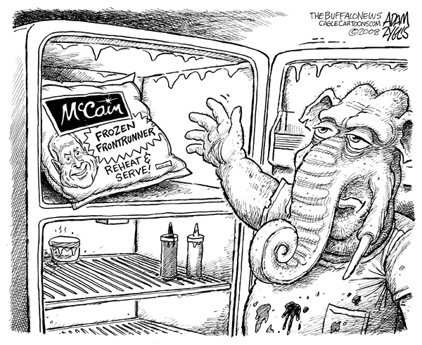 john mccain, mccain, frozen, food, frontrunner, precooked, reheat, gop, freezer, elephant, elections, primaries, 2008, presidential race