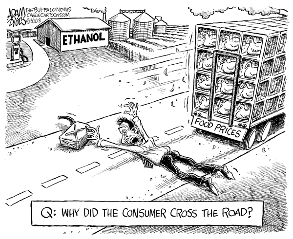 consumer, chicken, cross, road, food prices, ethanol, energy, fuel