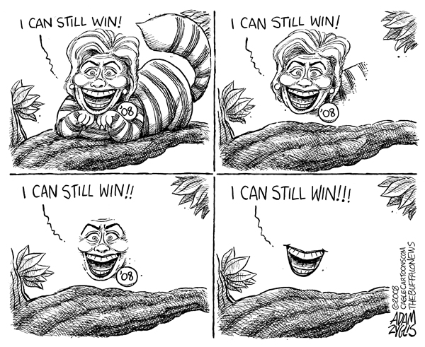 hillary, clinton, cheshire cat, mad, fading, smile, win, election, exit