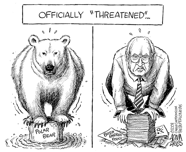 polar bear, endangered, threatened, bush, cheney, energy policy, oil, white house