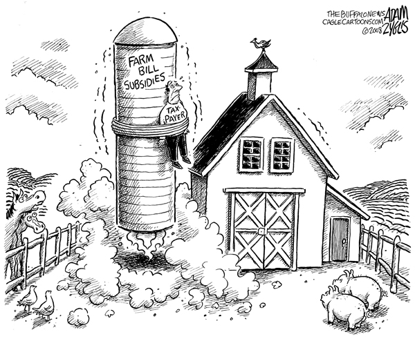 farm bill, congress, pork, taxpayer, subsidies, waste, government, spending, silo, rocket, farmer